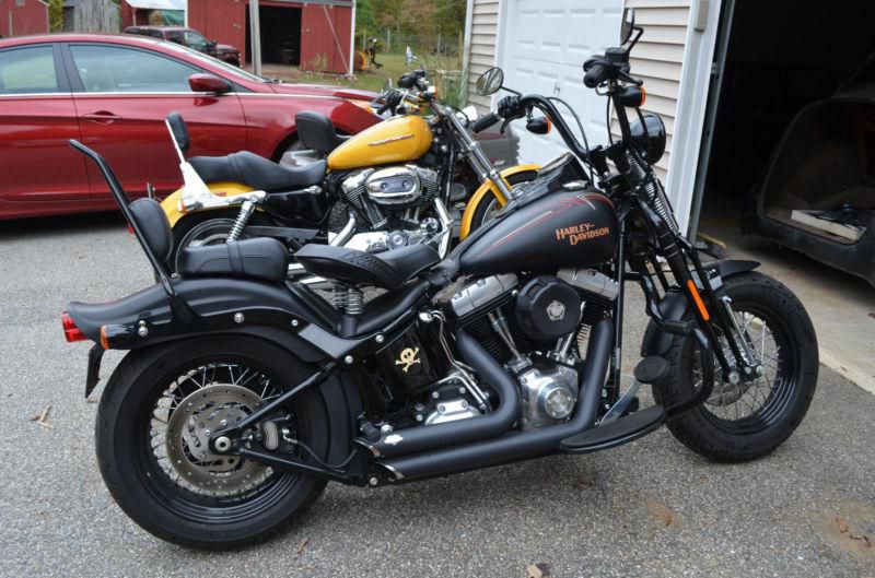 2009 Harley Crossbones FLSTSB