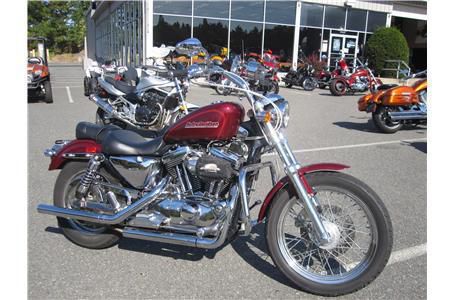 2002 Harley-Davidson Sportster XL1200 Cruiser 