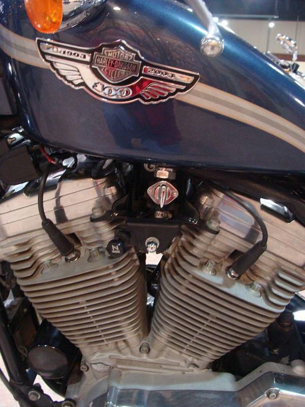 Harley-davidson 2003 xl883c sportster 100th anniversary