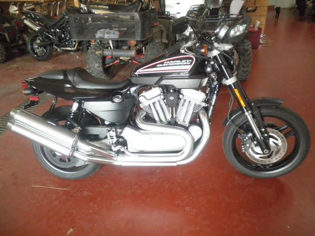 2009 harley-davidson xr1200 - sportster xr1200  standard 