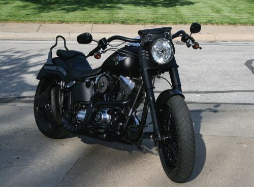 2010 Harley-Davidson Softail