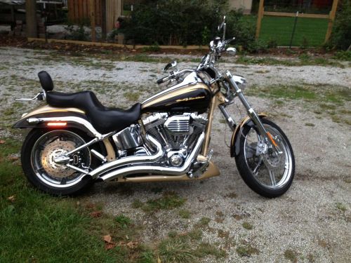 2003 harley-davidson softail