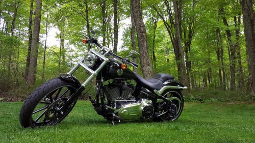 2013 Harley-Davidson Softail