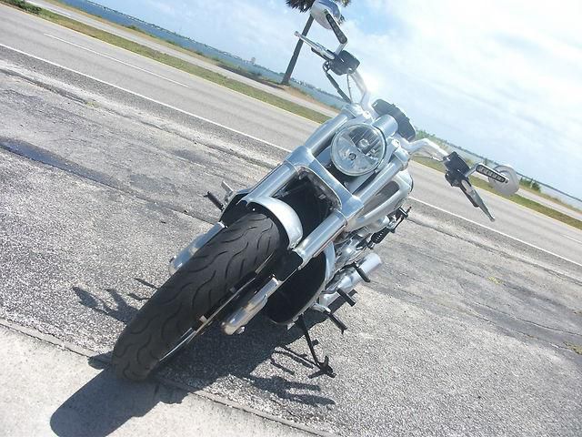 2009 Harley Davidson V-Rod Muscle...VRSCF....Mint!!! Low Miles!!!