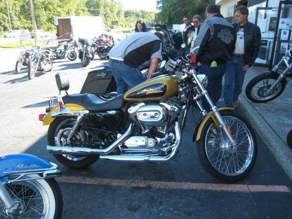 2008 harley-davidson xl 1200c sportster 1200 custom  cruiser 