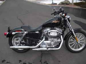 2008 harley davidson sportster xl883low~*~*~*~