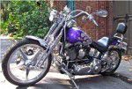Used 1999 Harley-Davidson Springer Softail FXSTS For Sale