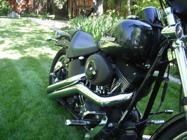 2005 harley-davidson softail night train fxstbi