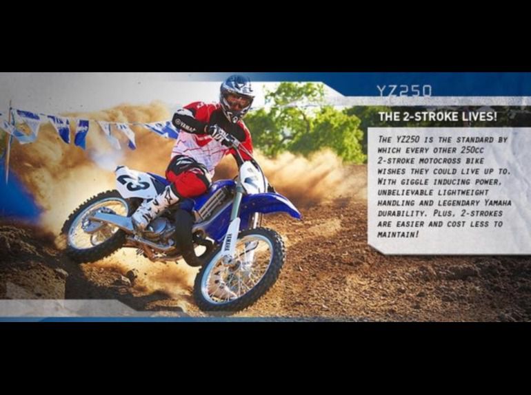 2013 Yamaha YZ250 