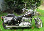 Used 2004 harley-davidson softail standard fxsti for sale