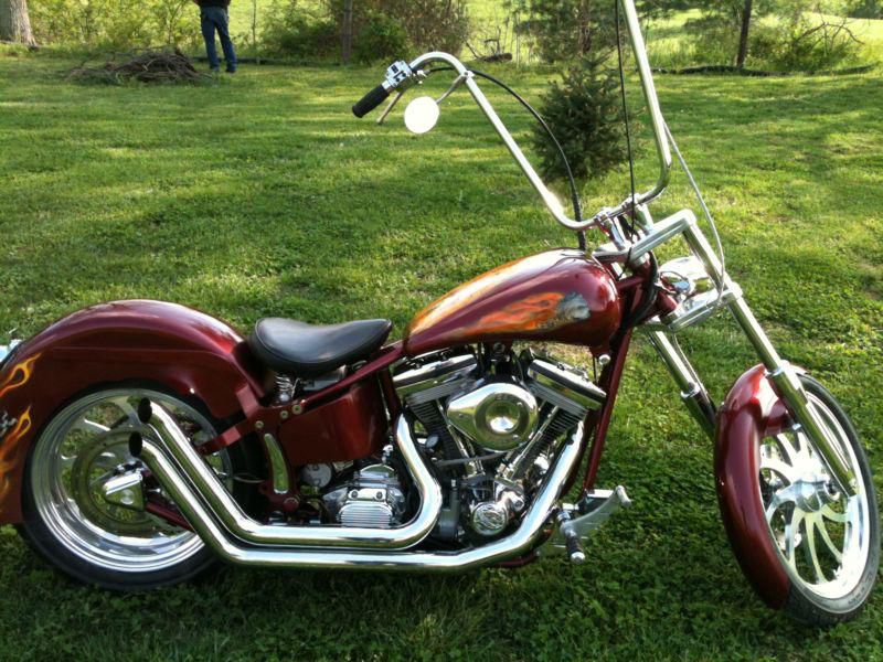 Custom 1990 Harley Davidson Softtail