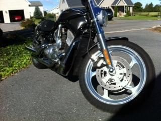 2004 harley davidson custom v-rod