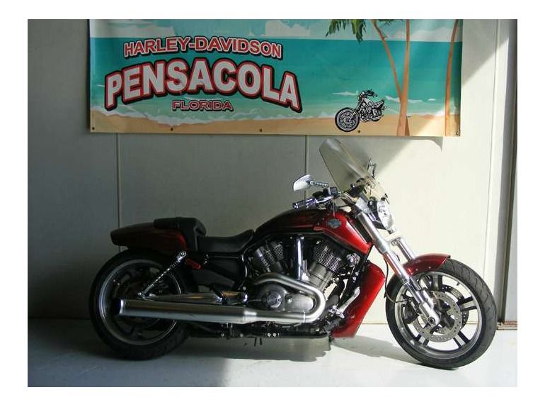 2009 harley-davidson vrscf v-rod muscle 