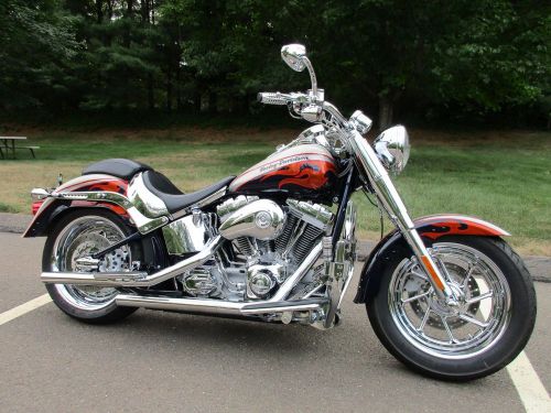 2006 harley-davidson softail