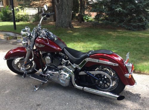 2010 harley-davidson softail