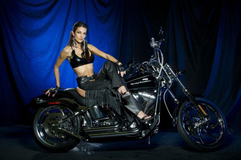 2004 Harley Softail Deuce (FXSDI) – Flawless