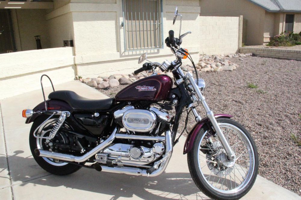 1997 Harley Sportster 883 Weight Loss