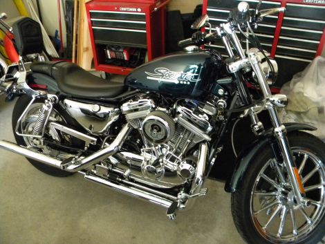 2001 Harley Davidson XL883 Sportster