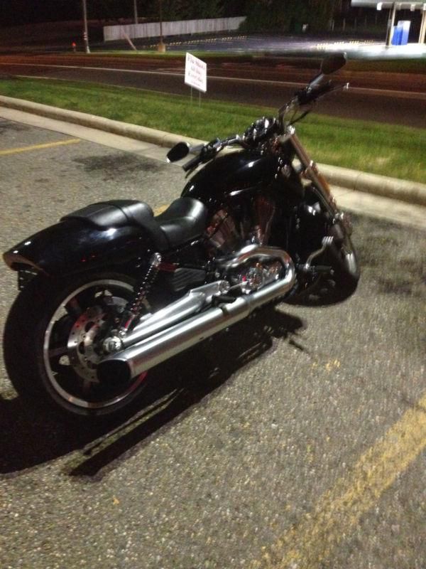 black 2009 Harley David vrod Muscle no reserve!