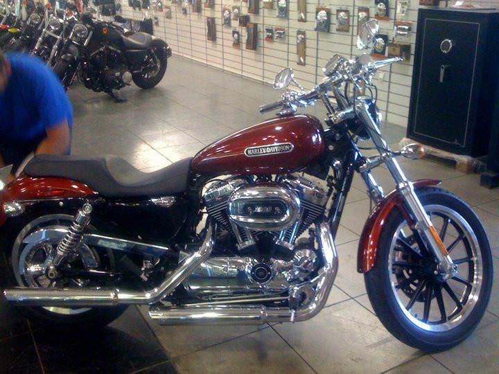 2009 Harley-Davidson Sportster 1200 LOW Standard 