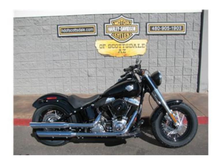 2013 harley-davidson fls103  cruiser 