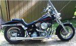 Used 1999 harley-davidson softail standard fxst for sale