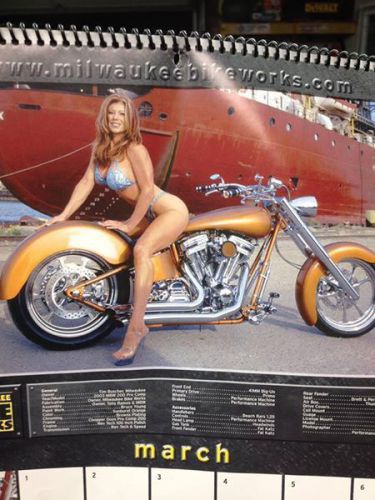 2003 custom built motorcycles chopper