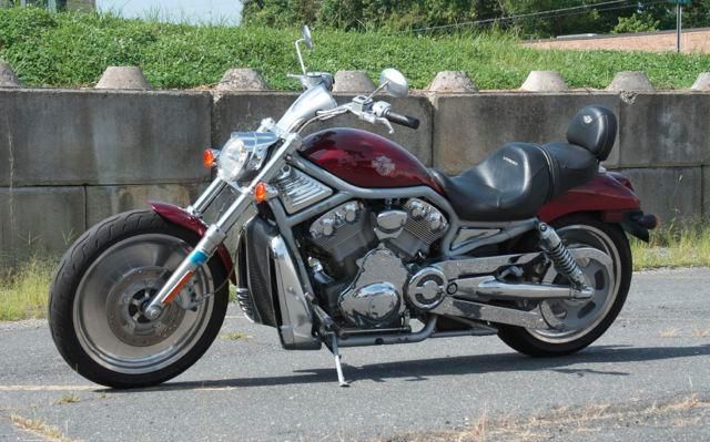 2003 harley-davidson vrsca v-rod  cruiser 