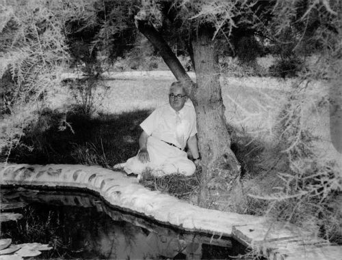 Vintage photo of vincent auriol sitting under tree. -