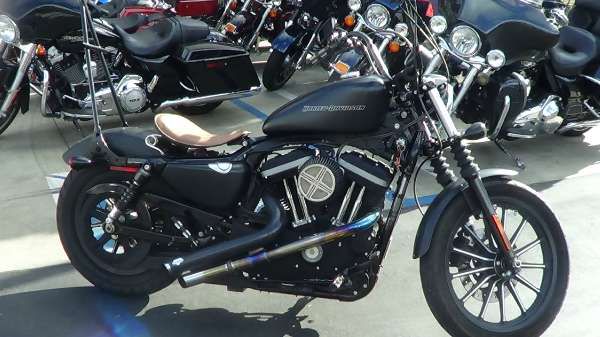 2010 Harley-Davidson XL883N