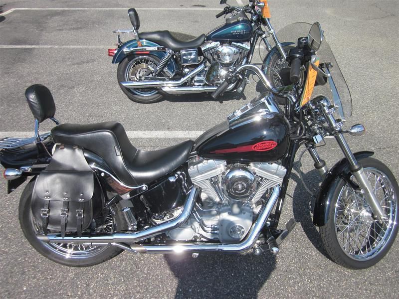 2006 harley-davidson softail standard cruiser 