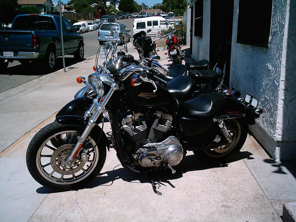 2009 Harley-Davidson SPORTSTER 883 CUSTOM Cruiser 