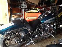 Springer softail for sale