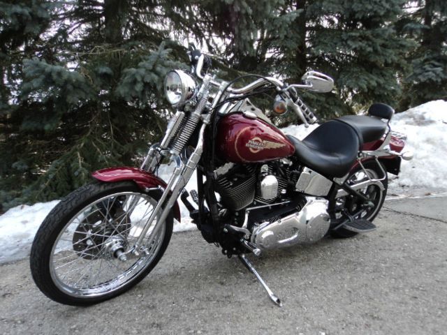 Used 2005 harley davidson fxstc for sale.