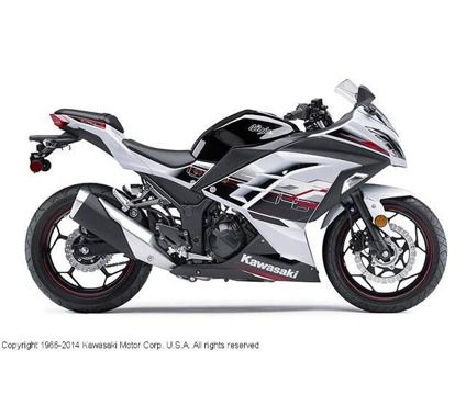 2014 Kawasaki Ninja 300 Abs