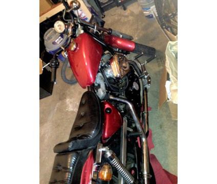 Rare 1985 Ironhead Harley Davidson Sportster