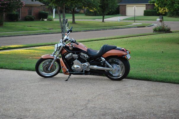 2008 Harley-Davidson V-Rod MUSCLE Cruiser 