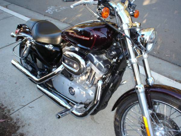 2005 Harley-Davidson Sportster XL883 Custom