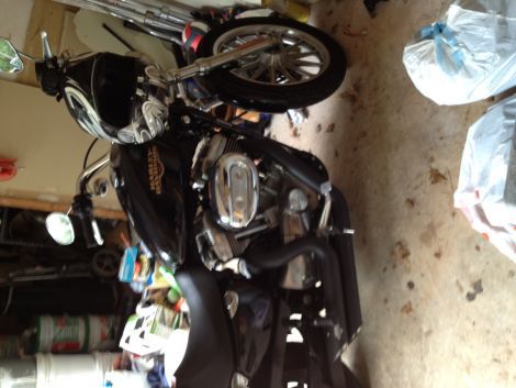 1998 Harley Davidson FXDWG