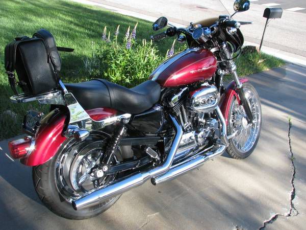 2005 harley davidson sportster 1200 custom