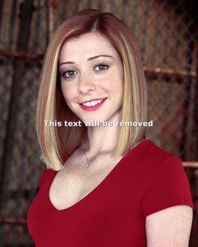 Alyson hannigan sexy 8x10 glossy photo picture print 2595