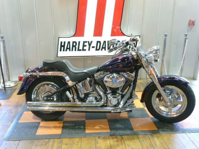2000 Harley-Davidson FLSTF Cruiser 