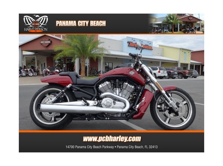 2010 harley-davidson vrscf v-rod muscle 