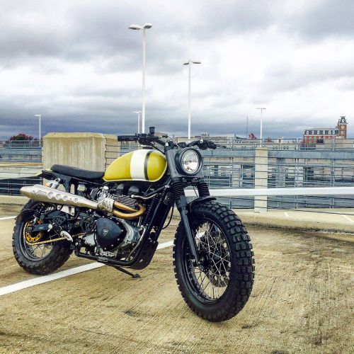 2006 triumph thruxton