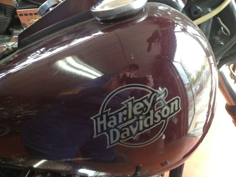 Harley davidson willie g special fxwg rare original 2 owner