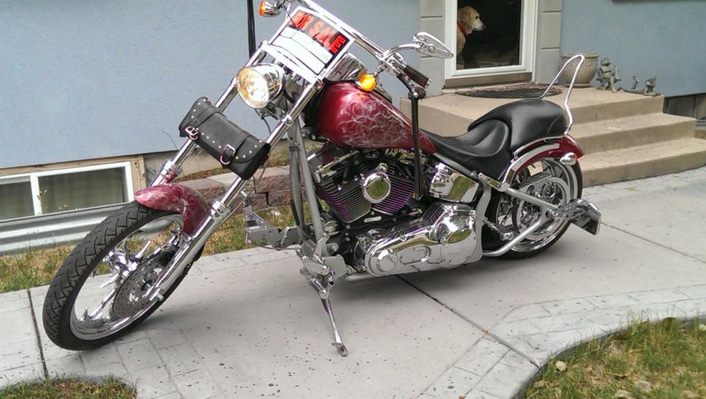 2008 Harley-Davidson Other Custom 
