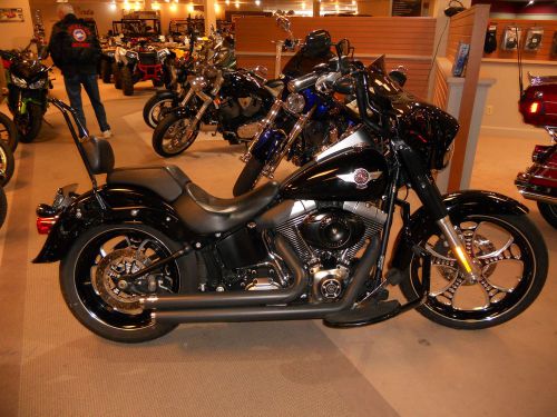 2010 harley-davidson softail