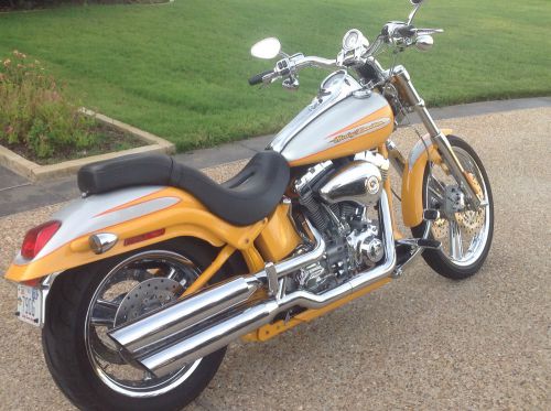 2004 harley-davidson softail