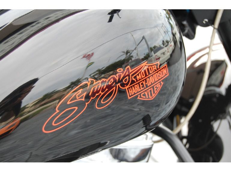1999 Harley-Davidson Heritage Softail SPECIAL 