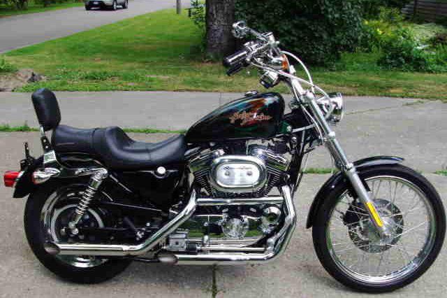 2002 XL1200c Custom Harley Davidson Screaming Eagle Sportster